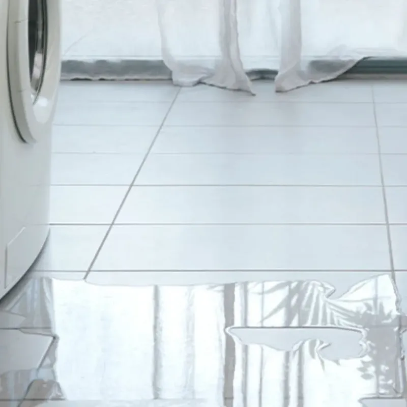 Appliance Leak Cleanup in Cedar Hill, TX