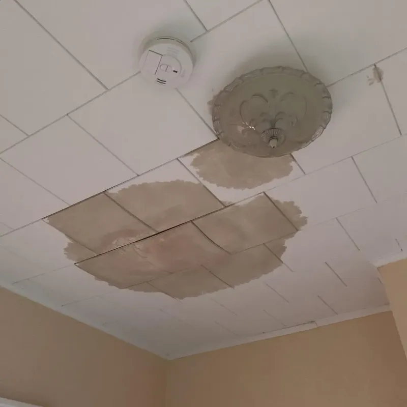 Ceiling Water Damage Repair in Cedar Hill, TX