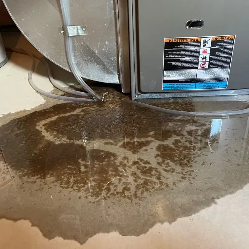 Pipe Burst and Leak Restoration in Cedar Hill, TX