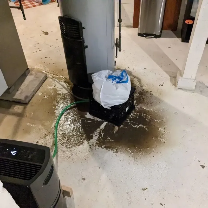 Sewage Backup Cleanup Service in Cedar Hill, TX
